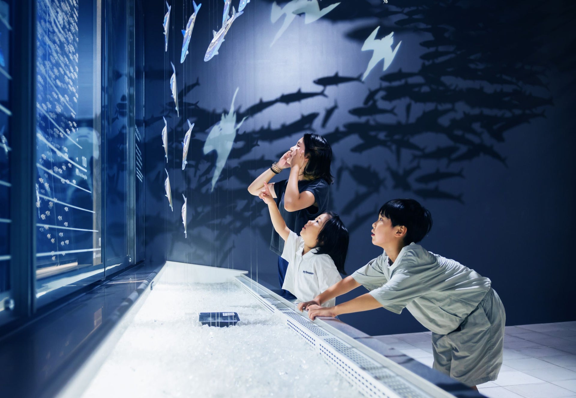 2025年日本国際博覧会　シグネチャーパビリオン「EARTH MART」5